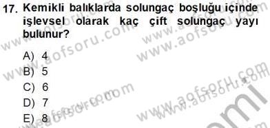 Su Ürünleri Dersi 2014 - 2015 Yılı (Vize) Ara Sınav Soruları 17. Soru