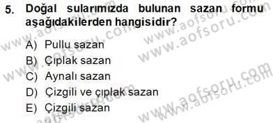 Su Ürünleri Dersi 2014 - 2015 Yılı (Vize) Ara Sınavı 5. Soru