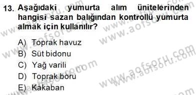 Su Ürünleri Dersi 2014 - 2015 Yılı (Final) Dönem Sonu Sınav Soruları 13. Soru