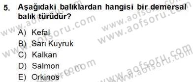 Su Ürünleri Dersi 2014 - 2015 Yılı (Final) Dönem Sonu Sınav Soruları 5. Soru