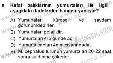 Su Ürünleri Dersi 2014 - 2015 Yılı (Final) Dönem Sonu Sınav Soruları 6. Soru