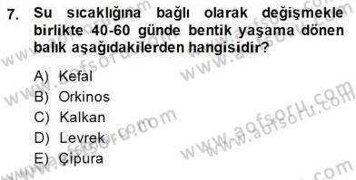 Su Ürünleri Dersi 2014 - 2015 Yılı (Final) Dönem Sonu Sınav Soruları 7. Soru