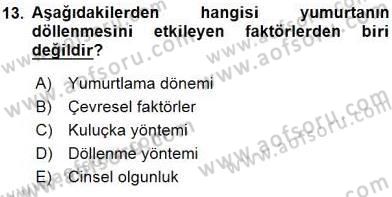 Su Ürünleri Dersi 2015 - 2016 Yılı (Vize) Ara Sınav Soruları 13. Soru