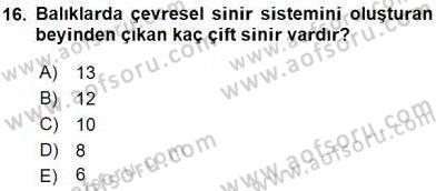 Su Ürünleri Dersi 2015 - 2016 Yılı (Vize) Ara Sınav Soruları 16. Soru