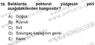 Su Ürünleri Dersi 2015 - 2016 Yılı (Vize) Ara Sınav Soruları 18. Soru