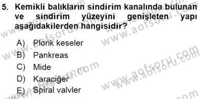 Su Ürünleri Dersi 2015 - 2016 Yılı (Vize) Ara Sınav Soruları 5. Soru
