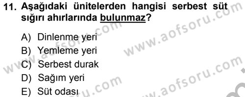 Bitki Su İlişkileri Dersi 2012 - 2013 Yılı (Vize) Ara Sınav Soruları 11. Soru