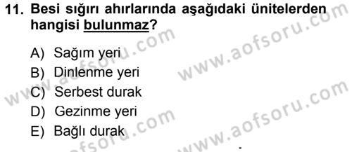 Bitki Su İlişkileri Dersi Ara Sınavı Deneme Sınav Soruları 11. Soru