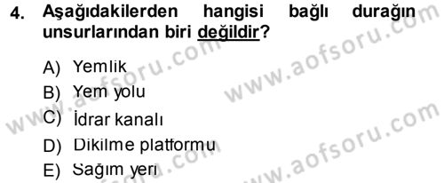 Bitki Su İlişkileri Dersi 2014 - 2015 Yılı (Final) Dönem Sonu Sınav Soruları 4. Soru