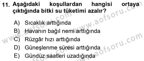 Bitki Su İlişkileri Dersi 2017 - 2018 Yılı 3 Ders Sınav Soruları 11. Soru