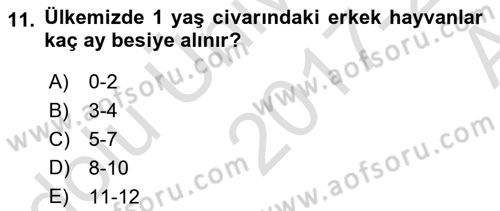 Bitki Su İlişkileri Dersi Ara Sınavı Deneme Sınav Soruları 11. Soru