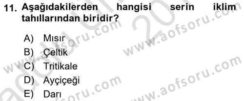 Bitki Su İlişkileri Dersi 2018 - 2019 Yılı 3 Ders Sınav Soruları 11. Soru