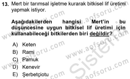 Bitki Su İlişkileri Dersi 2018 - 2019 Yılı 3 Ders Sınav Soruları 13. Soru