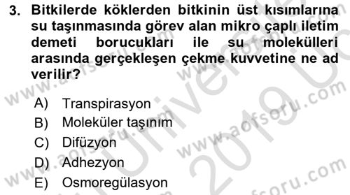 Bitki Su İlişkileri Dersi 2018 - 2019 Yılı 3 Ders Sınav Soruları 3. Soru
