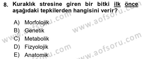 Bitki Su İlişkileri Dersi 2018 - 2019 Yılı 3 Ders Sınav Soruları 8. Soru