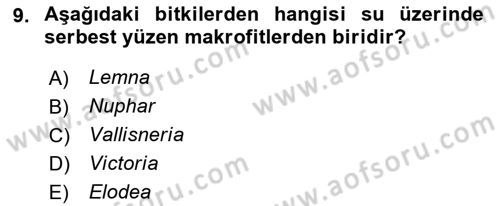 Bitki Su İlişkileri Dersi 2018 - 2019 Yılı 3 Ders Sınav Soruları 9. Soru
