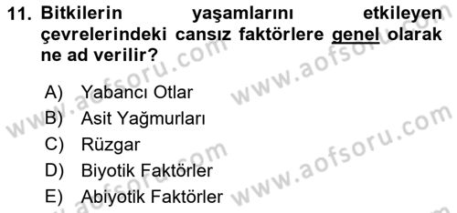 Bitki Su İlişkileri Dersi 2018 - 2019 Yılı (Vize) Ara Sınav Soruları 11. Soru