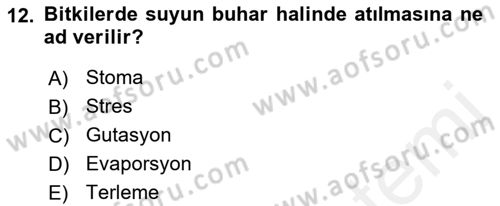 Bitki Su İlişkileri Dersi Ara Sınavı Deneme Sınav Soruları 12. Soru