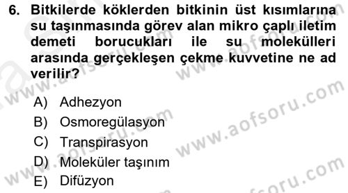 Bitki Su İlişkileri Dersi 2018 - 2019 Yılı (Vize) Ara Sınav Soruları 6. Soru