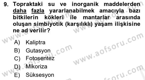 Bitki Su İlişkileri Dersi 2018 - 2019 Yılı (Vize) Ara Sınav Soruları 9. Soru