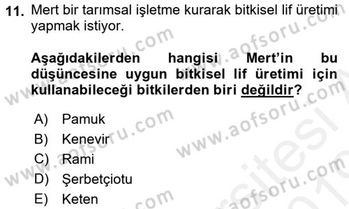 Bitki Su İlişkileri Dersi 2018 - 2019 Yılı (Final) Dönem Sonu Sınav Soruları 11. Soru