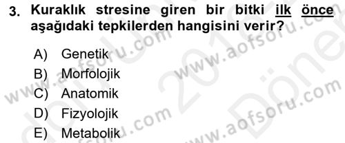 Bitki Su İlişkileri Dersi 2018 - 2019 Yılı (Final) Dönem Sonu Sınav Soruları 3. Soru
