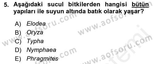 Bitki Su İlişkileri Dersi 2018 - 2019 Yılı (Final) Dönem Sonu Sınav Soruları 5. Soru