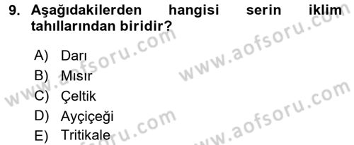 Bitki Su İlişkileri Dersi 2018 - 2019 Yılı (Final) Dönem Sonu Sınav Soruları 9. Soru