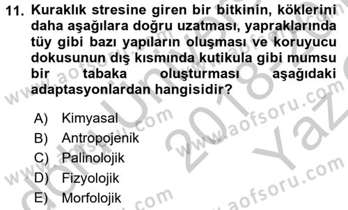 Bitki Su İlişkileri Dersi 2018 - 2019 Yılı Yaz Okulu Sınav Soruları 11. Soru