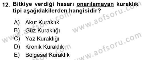 Bitki Su İlişkileri Dersi 2018 - 2019 Yılı Yaz Okulu Sınav Soruları 12. Soru