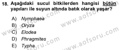 Bitki Su İlişkileri Dersi 2018 - 2019 Yılı Yaz Okulu Sınav Soruları 18. Soru