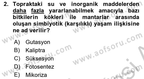 Bitki Su İlişkileri Dersi 2018 - 2019 Yılı Yaz Okulu Sınav Soruları 2. Soru
