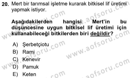 Bitki Su İlişkileri Dersi 2018 - 2019 Yılı Yaz Okulu Sınav Soruları 20. Soru
