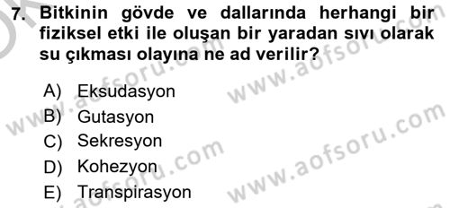 Bitki Su İlişkileri Dersi 2018 - 2019 Yılı Yaz Okulu Sınav Soruları 7. Soru