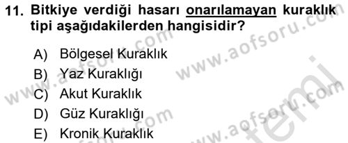 Bitki Su İlişkileri Dersi 2019 - 2020 Yılı (Vize) Ara Sınav Soruları 11. Soru