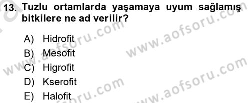 Bitki Su İlişkileri Dersi Ara Sınavı Deneme Sınav Soruları 13. Soru