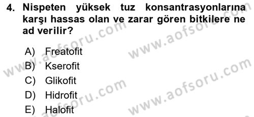 Bitki Su İlişkileri Dersi 2019 - 2020 Yılı (Vize) Ara Sınav Soruları 4. Soru