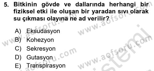 Bitki Su İlişkileri Dersi Ara Sınavı Deneme Sınav Soruları 5. Soru