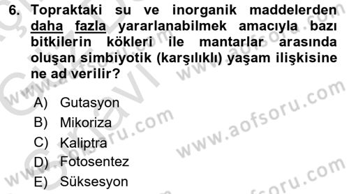 Bitki Su İlişkileri Dersi Ara Sınavı Deneme Sınav Soruları 6. Soru