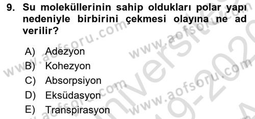 Bitki Su İlişkileri Dersi Ara Sınavı Deneme Sınav Soruları 9. Soru