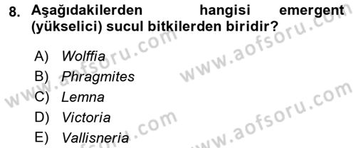 Bitki Su İlişkileri Dersi 2019 - 2020 Yılı (Final) Dönem Sonu Sınav Soruları 8. Soru