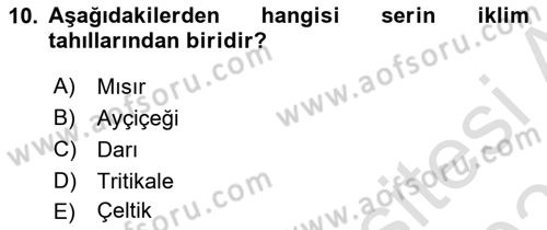 Bitki Su İlişkileri Dersi 2020 - 2021 Yılı Yaz Okulu Sınav Soruları 10. Soru