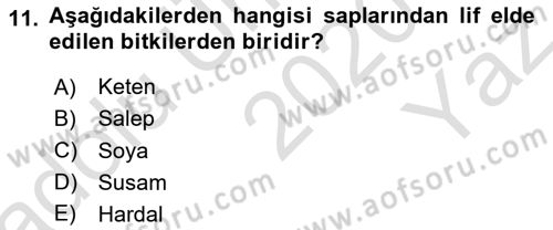 Bitki Su İlişkileri Dersi 2020 - 2021 Yılı Yaz Okulu Sınav Soruları 11. Soru