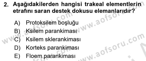 Bitki Su İlişkileri Dersi 2020 - 2021 Yılı Yaz Okulu Sınav Soruları 2. Soru