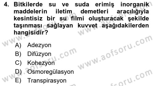 Bitki Su İlişkileri Dersi 2020 - 2021 Yılı Yaz Okulu Sınav Soruları 4. Soru