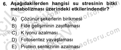 Bitki Su İlişkileri Dersi 2020 - 2021 Yılı Yaz Okulu Sınav Soruları 6. Soru