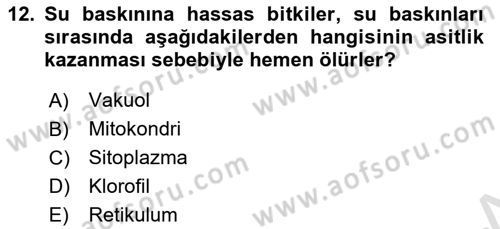 Bitki Su İlişkileri Dersi 2021 - 2022 Yılı (Vize) Ara Sınav Soruları 12. Soru