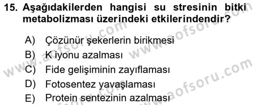 Bitki Su İlişkileri Dersi 2021 - 2022 Yılı (Vize) Ara Sınav Soruları 15. Soru