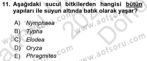 Bitki Su İlişkileri Dersi 2021 - 2022 Yılı (Final) Dönem Sonu Sınav Soruları 11. Soru
