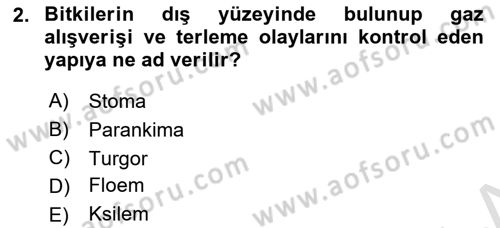 Bitki Su İlişkileri Dersi 2021 - 2022 Yılı (Final) Dönem Sonu Sınav Soruları 2. Soru